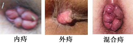 ̻